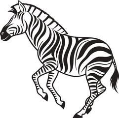 zebra isolated on white background
