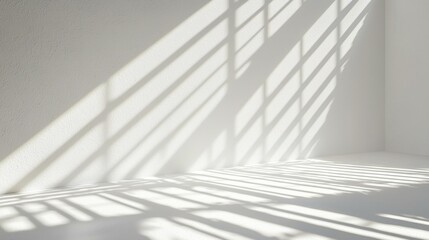 Fototapeta premium Soft Light and Shadow Patterns on Minimalist White Wall Surface