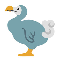 duck isolated on white background 