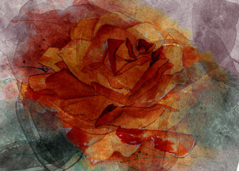 grunge rose background