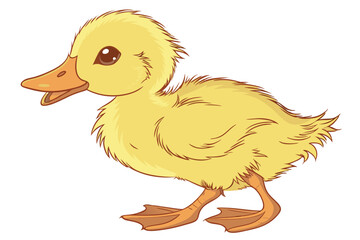 38 Adorable yellow duckling, fluffy down feathers, bright orange beak, tiny webbed feet, soft lighting, white background, high detail, studio photography, realistic texture, charming baby animal, cute