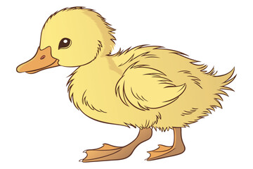 38 Adorable yellow duckling, fluffy down feathers, bright orange beak, tiny webbed feet, soft lighting, white background, high detail, studio photography, realistic texture, charming baby animal, cute