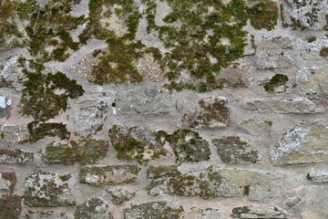 A wall covered in moss and dirt