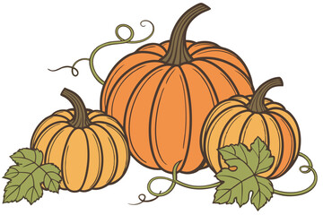 41 Orange pumpkins, realistic, detailed texture, vibrant color, fall harvest, studio lighting, white background, high resolution, macro photography, symmetrical composition, Halloween decor, Thanksgiv