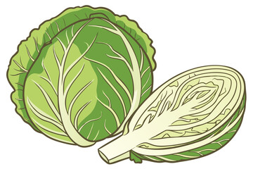 44 Cabbage, green vegetable, fresh produce, leafy layers, vibrant color, crisp texture, organic food, healthy ingredient, closeup photography, white background, high detail, realistic rendering, studi