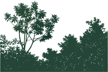 23 Majestic waterfall, lush green forest, cascading white water, moss-covered rocks, ethereal atmosphere, sunlight filtering through trees, misty spray, long exposure photography, vibrant foliage, ser