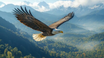 Majestic eagle soaring over mountain peaks