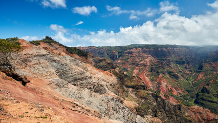 View point of Waimea Canyon