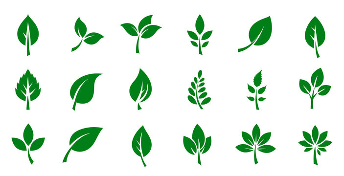 Leaf themed icon set. Compatible with nature, sustainability, vegan and organic concepts. Presented on a white background.