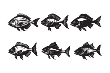 Fish Silhouettes Vector Set Marine, Ocean, Seafood, Fishing, Art Design
