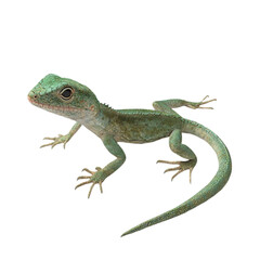 Naklejka premium Green lizard on vibrant striped background alert and watchful reptile