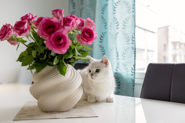 A white British shorthair cat sits on a white dining table next to a beautiful vase of pink rose. Photo