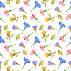Seamless pattern on white background with field watercolor flowers, leaves. Style for spring cover, textures, packaging, background
