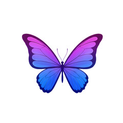 Neon Gradient Butterfly With Transparent Background Digital Art 