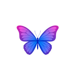 Fototapeta premium Neon Gradient Butterfly With Transparent Background Digital Art 