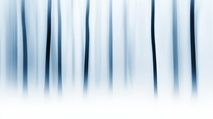 Eerie foggy forest with tall trees and mysterious atmosphere