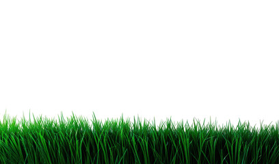 Franja de pasto verde aislada sobre fondo transparente. PNG.