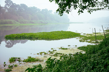 Lake in West Bengal