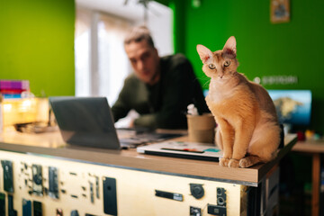 Computer technician examining damaged motherboard in electronics repair workshop, accompanied by...