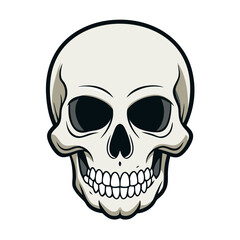 Fototapeta premium Vector Skull isolated on transparent background