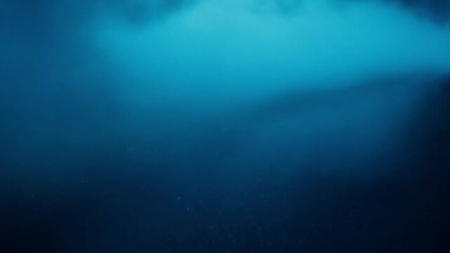 Mysterious Blue Mist on an Empty Road at Night Eerie Atmospheric Fog Effect