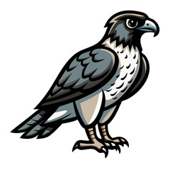 Fototapeta premium a detailed drawing of a hawk. It is standing upright, ready to take flight