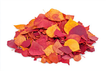 A pile of colorful autumn leaves in varying shades of red orange and yellow on a white background