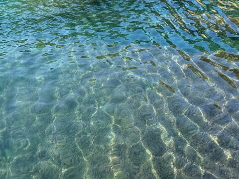Sea crystal clear water with underwater algae.