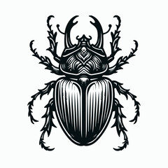 beetle vector illustration