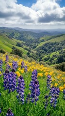 Fototapeta premium Vibrant flowers in a lush valley