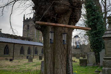 Eham, Chesterfield, United Kingdom - 21 Mar 2025 - A tree with two bird feeders hanging from it. The tree is near a cemetery and a church