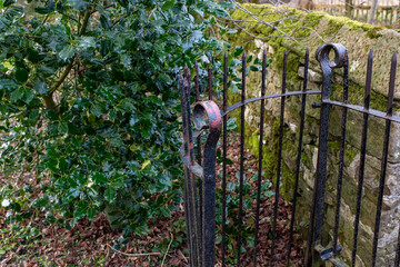 Eham, Chesterfield, United Kingdom - 21 Mar 2025 - A gate with a rusty iron gate is in front of a hedge. The gate is open and the leaves of the hedge are wet