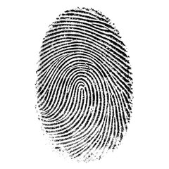 Fingerprint png, high contrast fingerprint scan, biometric fingerprint isolated, detailed fingerprint on transparent background