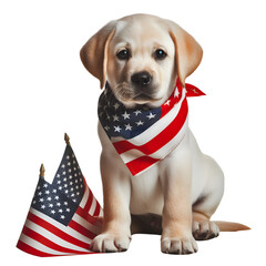 A Labrador puppy wearing a red, white, and blue bandana, with a small American flag beside it, isolated on transparent background