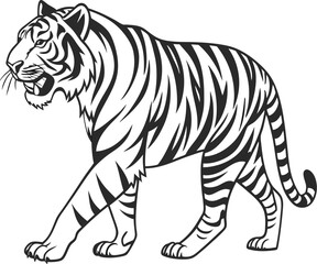 Obraz premium Tiger Walking Illustration