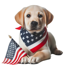 A Labrador puppy wearing a red, white, and blue bandana, with a small American flag beside it, isolated on transparent background
