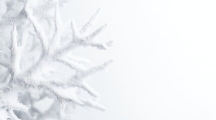 Obraz premium Snowy winter branches, close-up. Decorative snow-covered tree branches against a white background