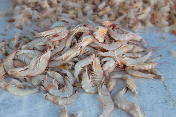 Fresh shrimp at Genaveh Fish Market, a taste of the sea straight from the source. Genaveh, Bushehr, Iran. 