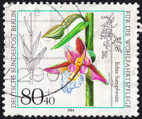 German Federal Post Berlin stamp from 1984 featuring a Echte Sumpfwurz flower.