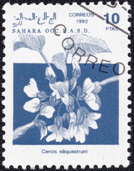 Western Sahara stamp from 1992 featuring a Cercis siliquastrum flower.