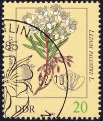 East German stamp from 1982 featuring a Ledum palustre L. flower.