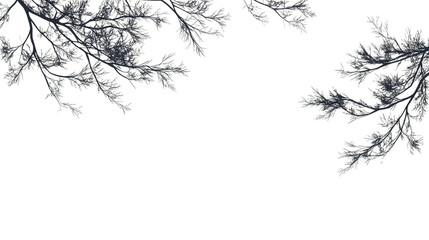 Fototapeta premium Silver-Gray Branches on Transparent Background, PNG