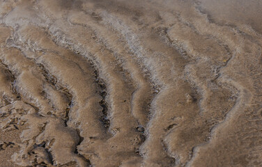 Icy Waters Over Sand