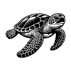 Fototapeta premium Detailed Black Vector Turtle Illustration