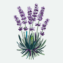 Obraz premium Lavender Watercolor Botanical Illustration