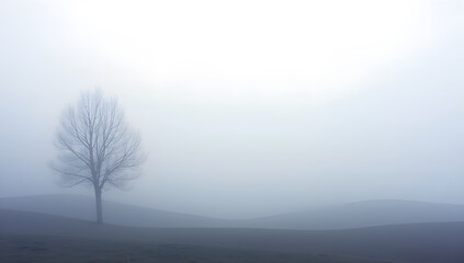 Blurring Edges: A Misty Ballet of Colors