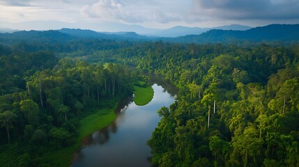 Obraz premium Lush rainforest river valley, serene landscape