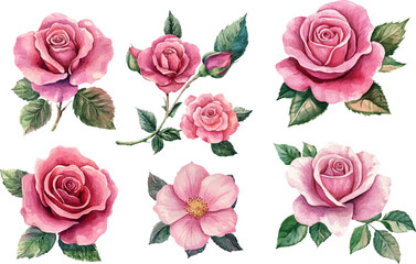 Naklejka premium seamless pattern with pink roses