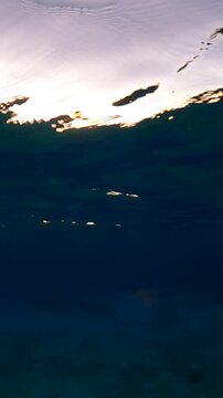 Sunset reflection dancing above and below dark ocean at sunset - 50/50 dome port in Cozumel, Mexico in the Caribbean SeaSun reflecting dance bright orange and deep blue