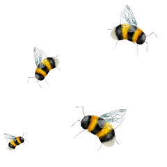 Bumblebee. Seamless watercolor pattern, hand drawn in a realistic style. White background. Botanical illustration for textile, greeting card, stationary wedding, home decor